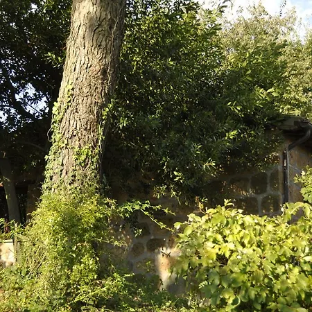 Buriano Kır Evi